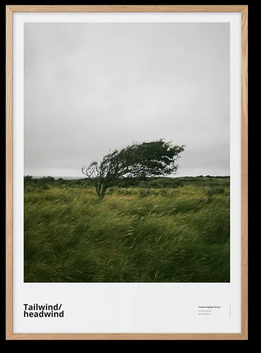 Peléton Tailwind / Headwind 50x70 Poster