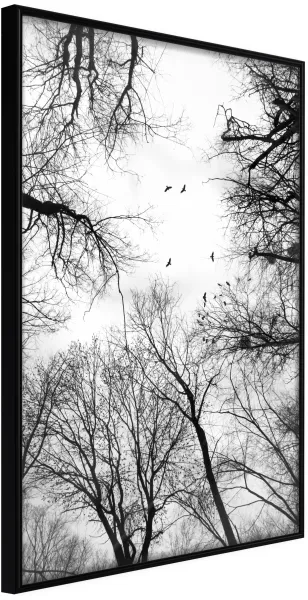 ARTGEIST Poster mit Rahmen - Treetops Schwarz 40x60